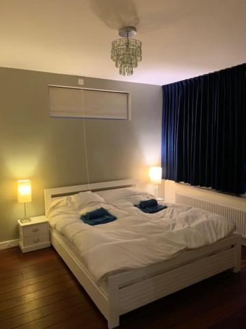 Villa Cosy Central Incl Jacuzzi Near Trainstation, Beach And City ヘームステーデ エクステリア 写真